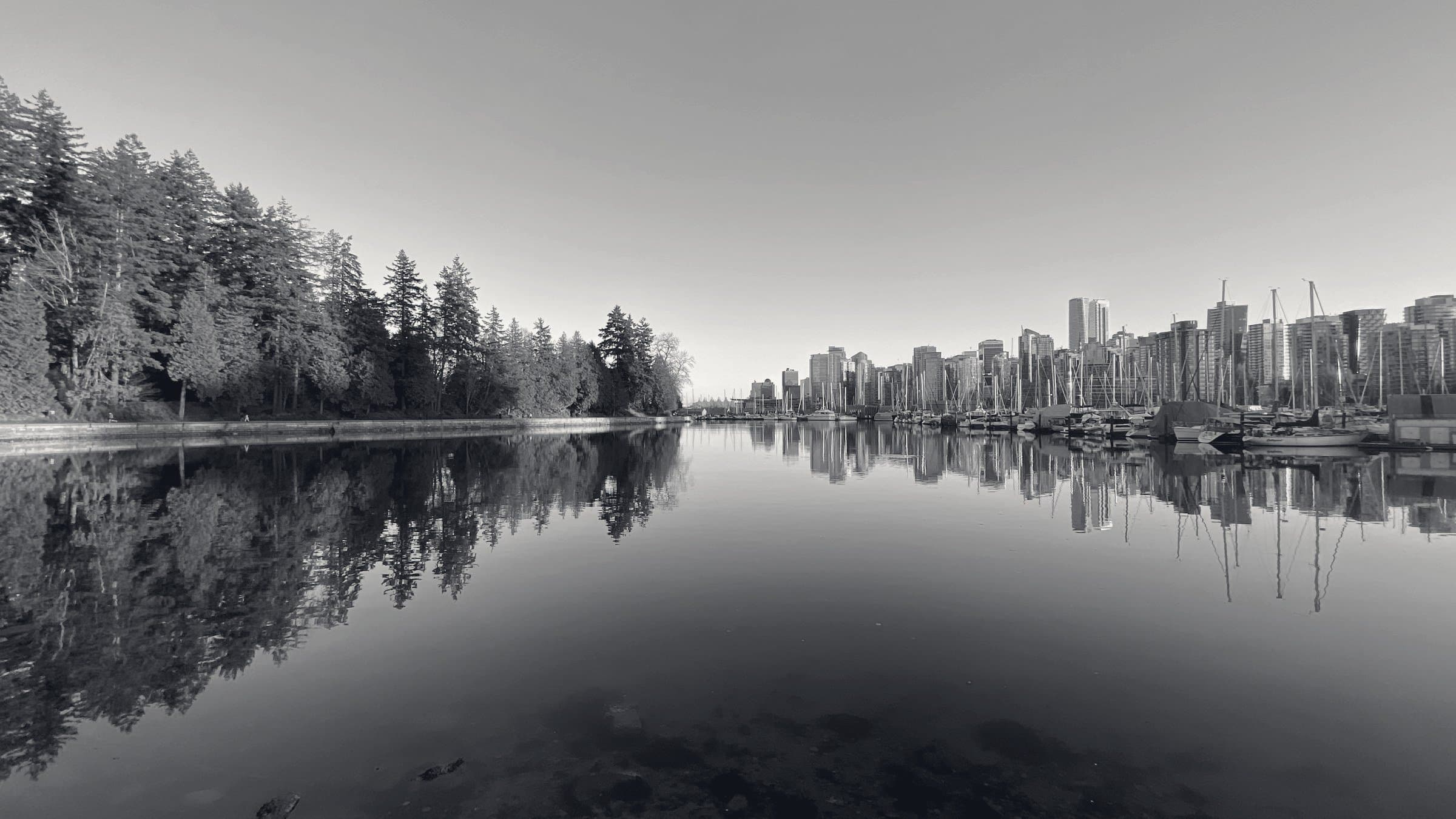 Downtown Vancouver across still water from the park edge.