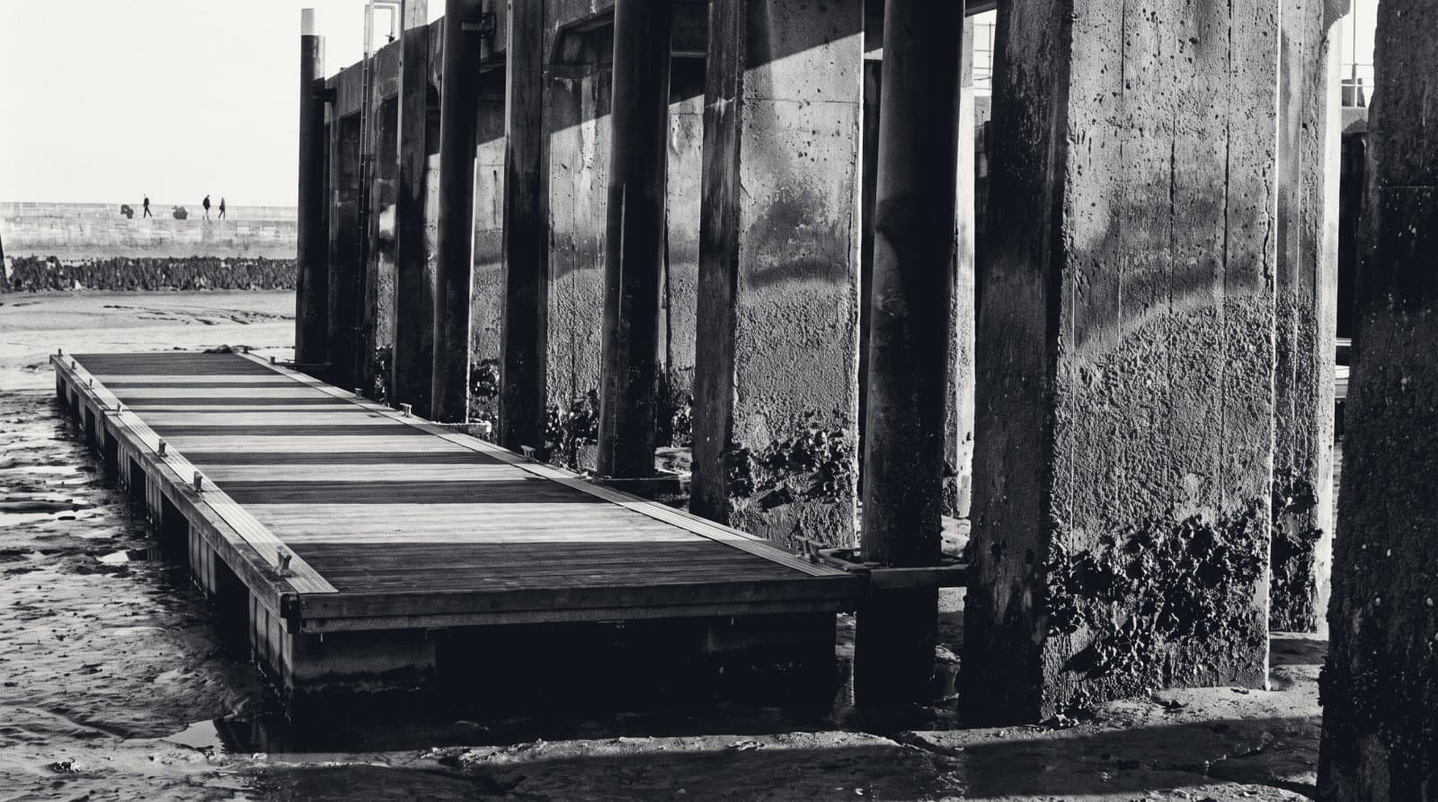 Weathered concrete harbour piles at low tide with tide marks banded up their sides and a pontoon resting low.