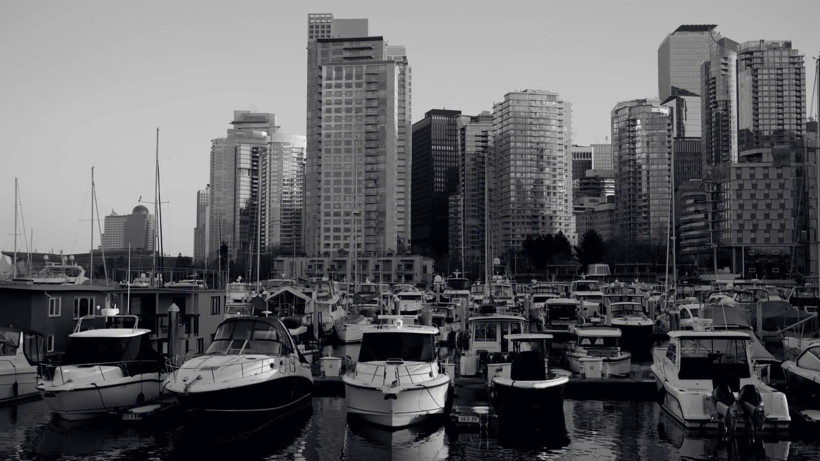 A still marina at dawn, boats waiting in flat light.