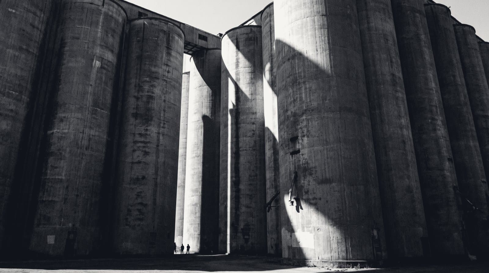 A cluster of tall concrete grain silos photographed from below.